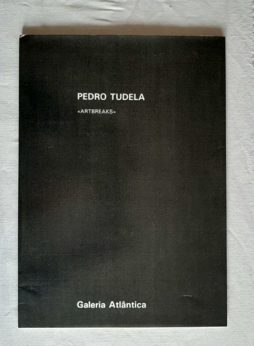 Raros catálogos arte e pintura artistas nacionais 1988/1994