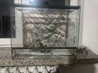 Terrarium dla węża