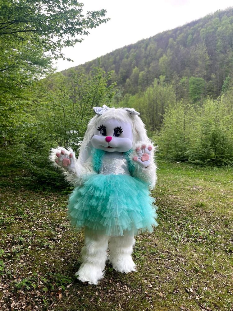 Костюм аніматора