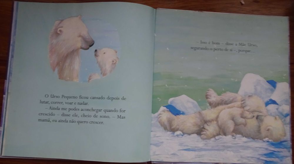 Urso Grande Urso Pequeno (Um Livro Para Tocar e Sentir)