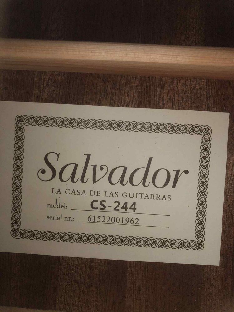 Gitara Salvador cs-244