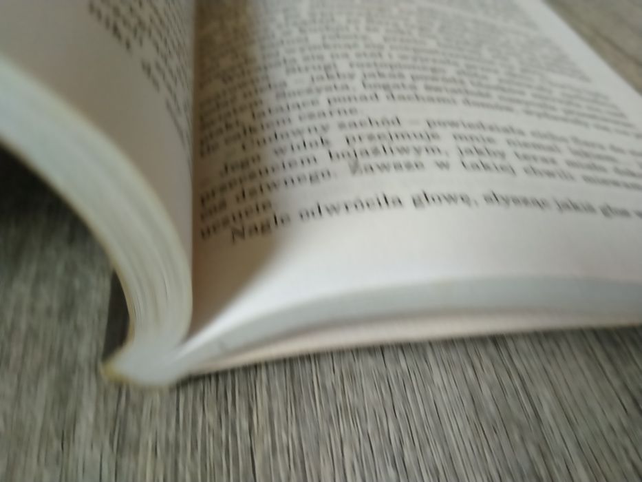 Mała księżniczka F H Burnett