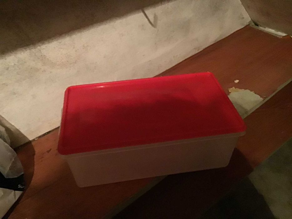 tuperware rectangular com tampa vermelha