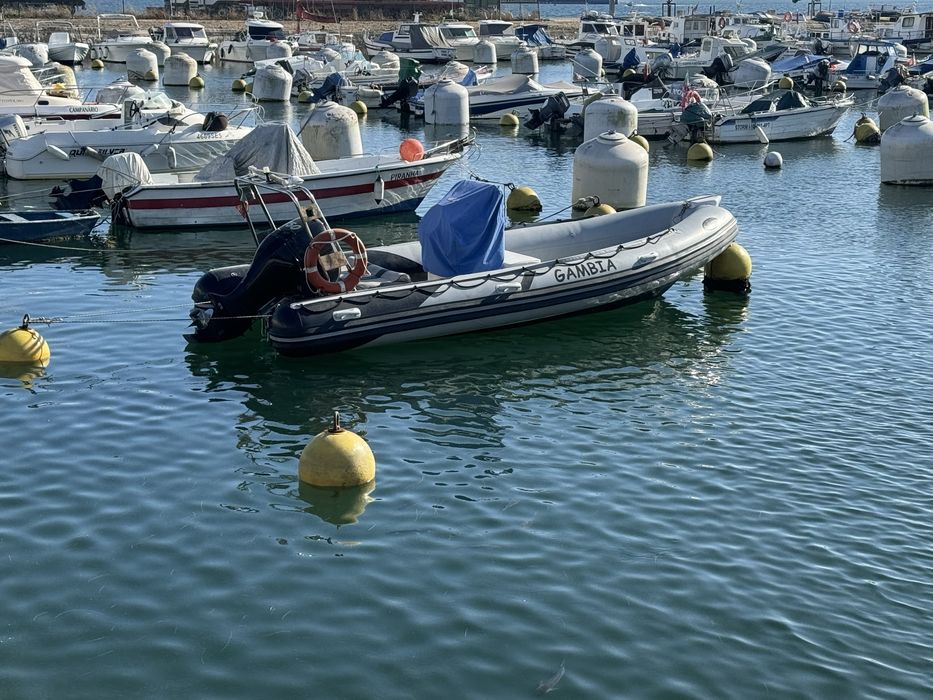 Barco Semi Rigido Setamar 620