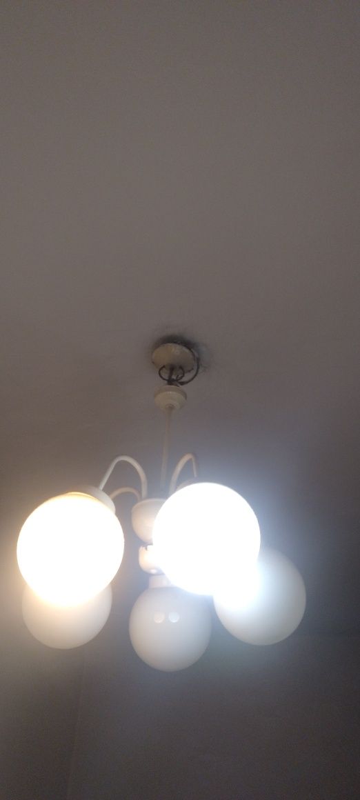 Oryginalna lampa PR