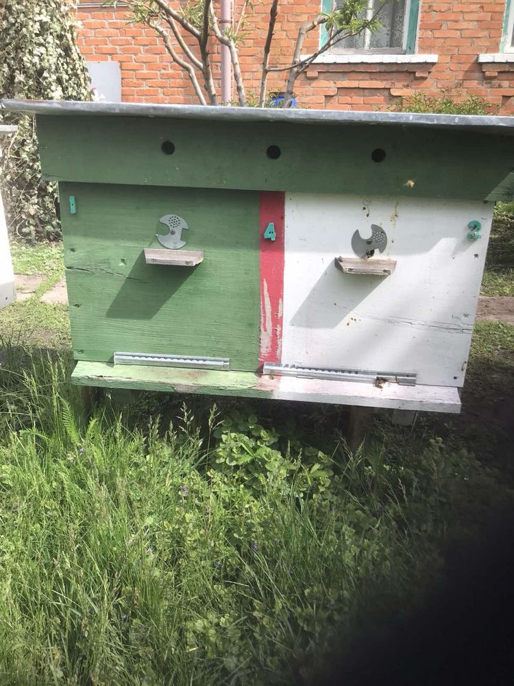 Вулики для бджіл