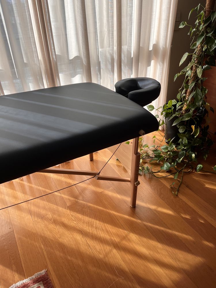 Marquesa Profissional Portátil