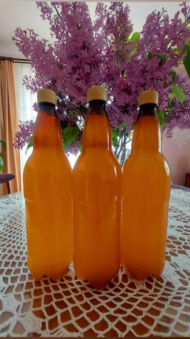 Zakwas Bołotowa 3 litry z wysyłką olx