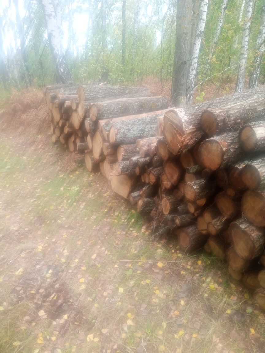 Продам дрова з доставкою.Дуб, Граб, Ясен, Вільха,Береза,Сосна,Осика.