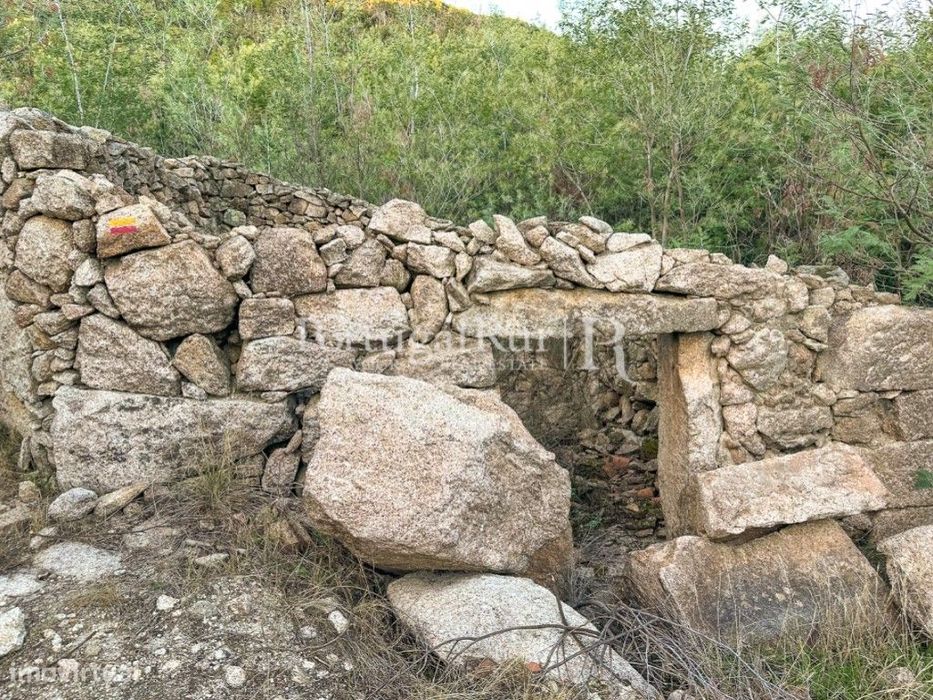 Terreno rústico com 1 hectare em Louriçal do Campo