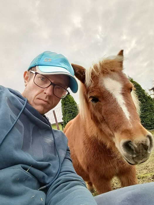 Petsitter, opiekun zwierząt w Twoim domu, spacery z psem