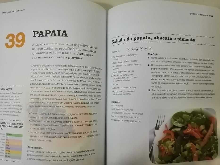 Livro "100 melhores alimentos para a gravidez"