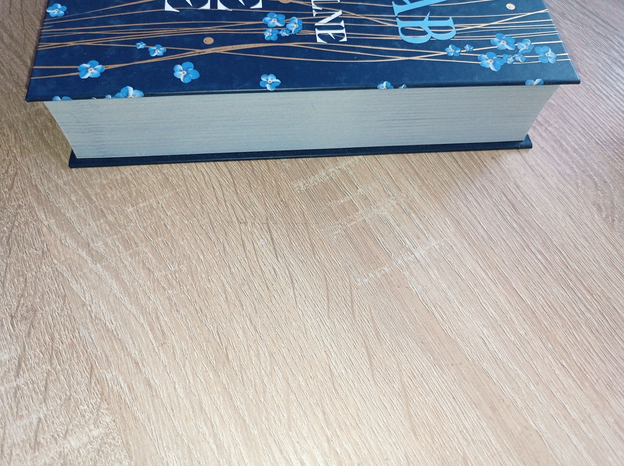 Niewidzialne życie Addie Larue V. E. Schwab