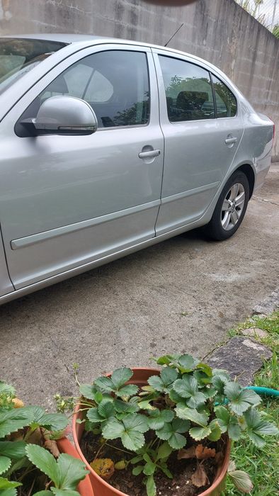 Skoda Octavia 1.6 105 Greenline 2010 IMPECÁVEL *SÓ 135.000 KM*