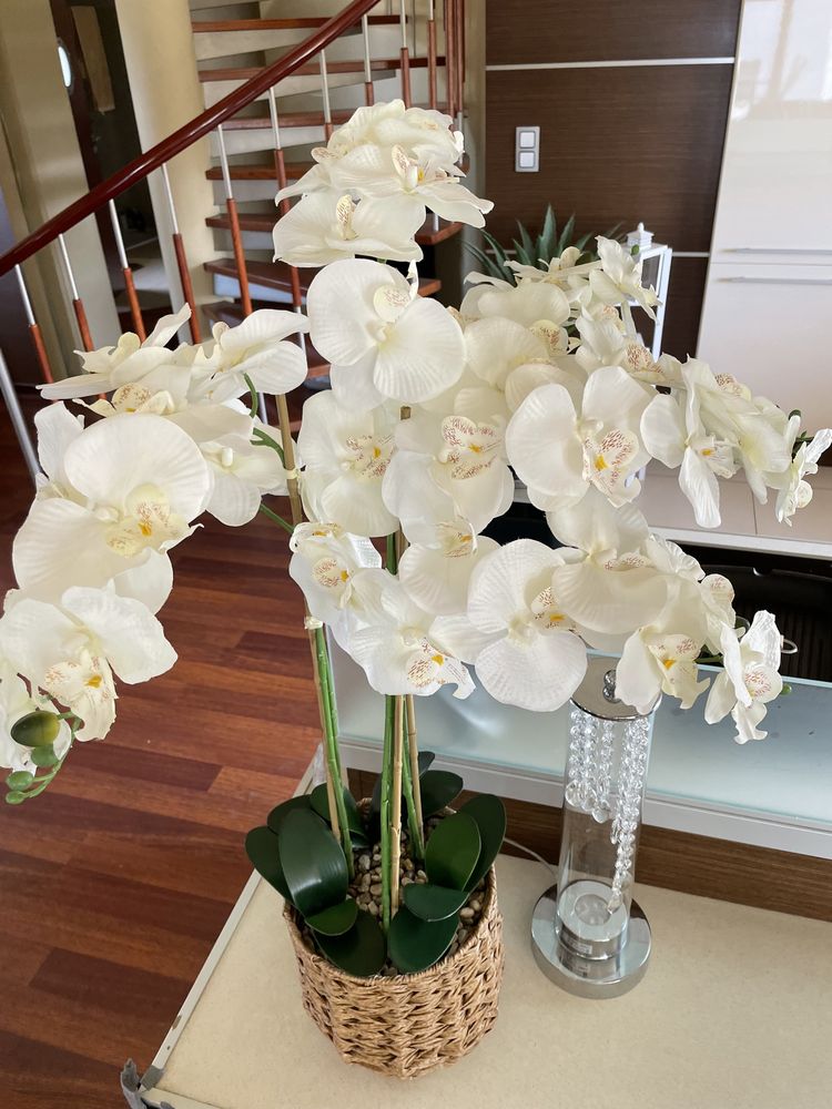 Storczyk orchidea stroik home&you xxl