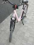 Rower Cossack  2020r 26"