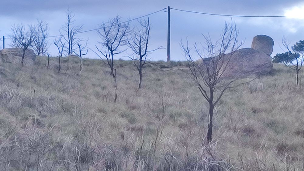 Terreno em Alvendre, Guarda