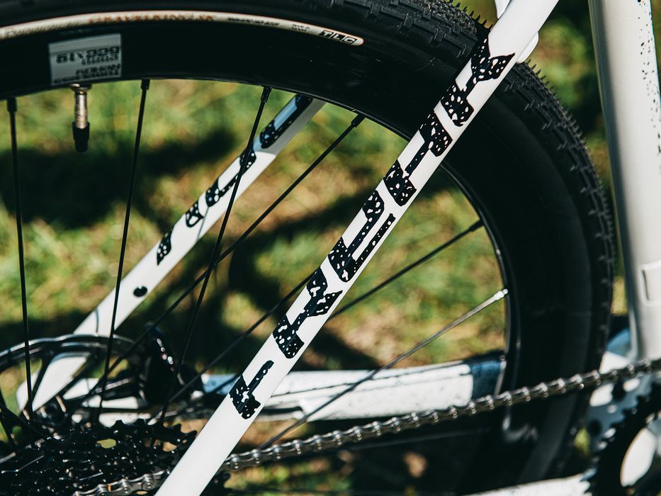 Rower gravel ACCENT FREAK CARBON APEX biały ,  rozmiary