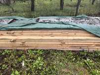 Дошка сосна суха обрізана