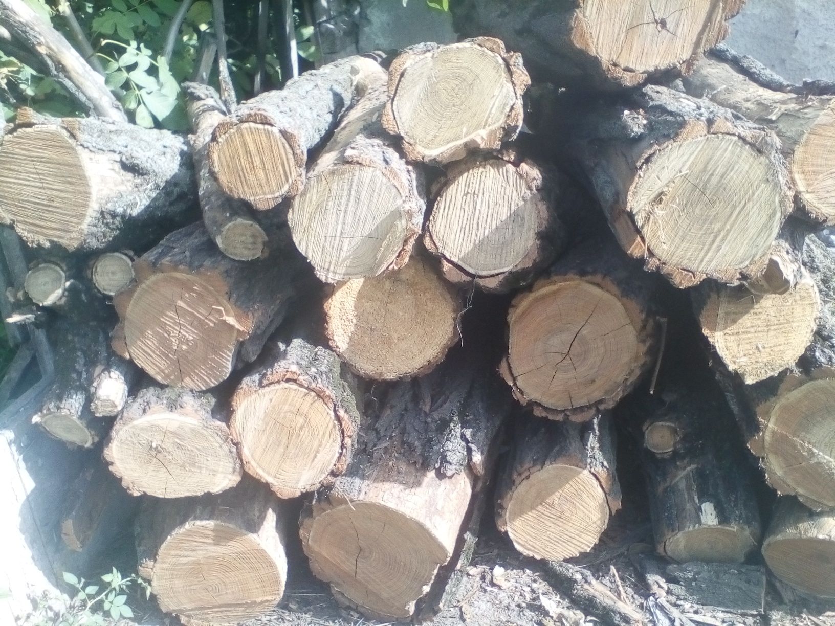 Продам  дрова за договірною ціною