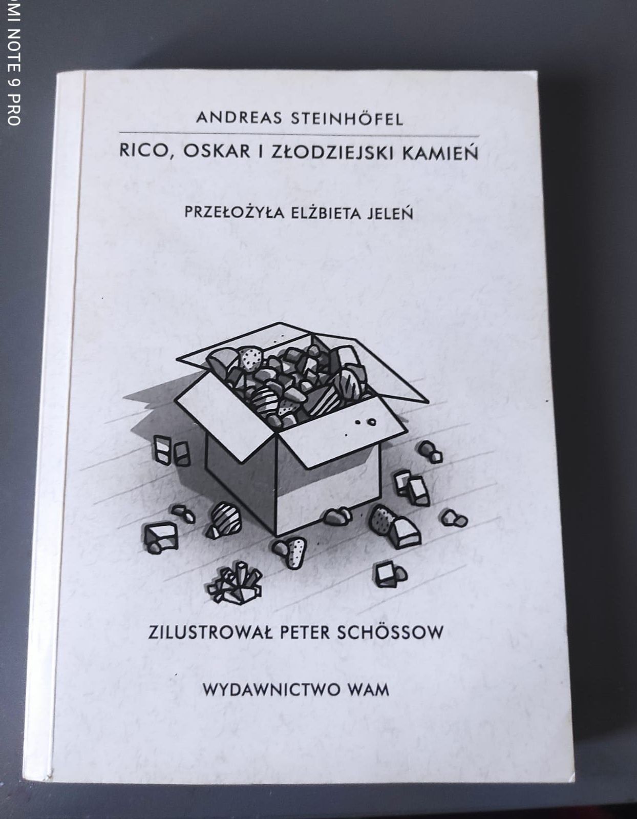 RICO, OSKAR I ZŁODZIEJSKI KAMIEŃ
autor: Andreas Steinhӧfel