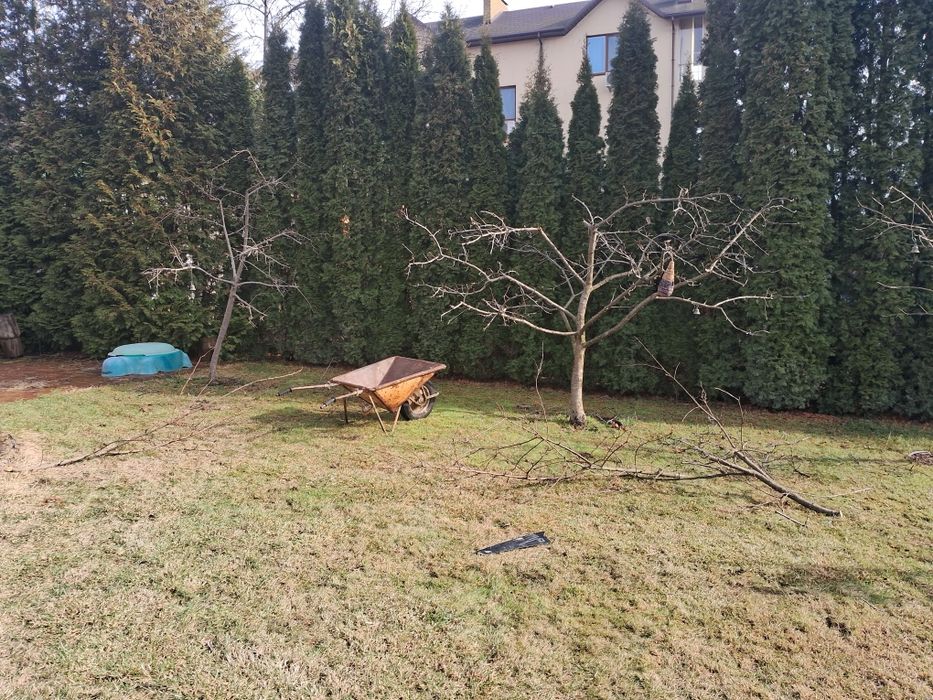 Обрізка плодових , спил дерев будь-якої складності