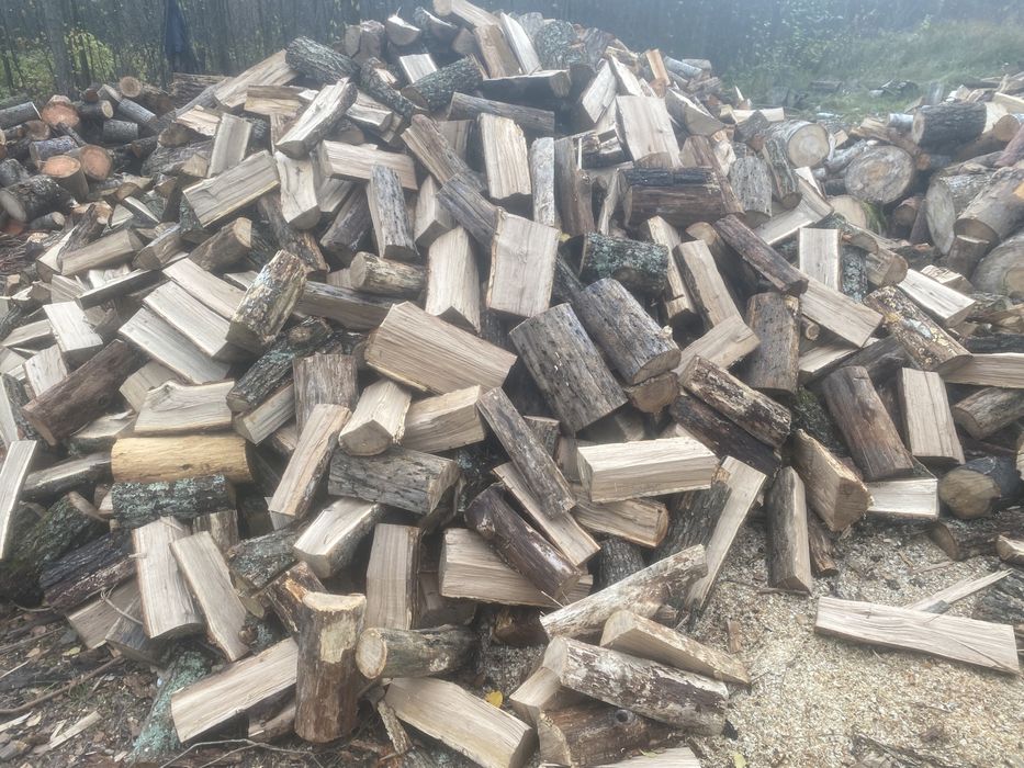 Колоті дрова різних порід