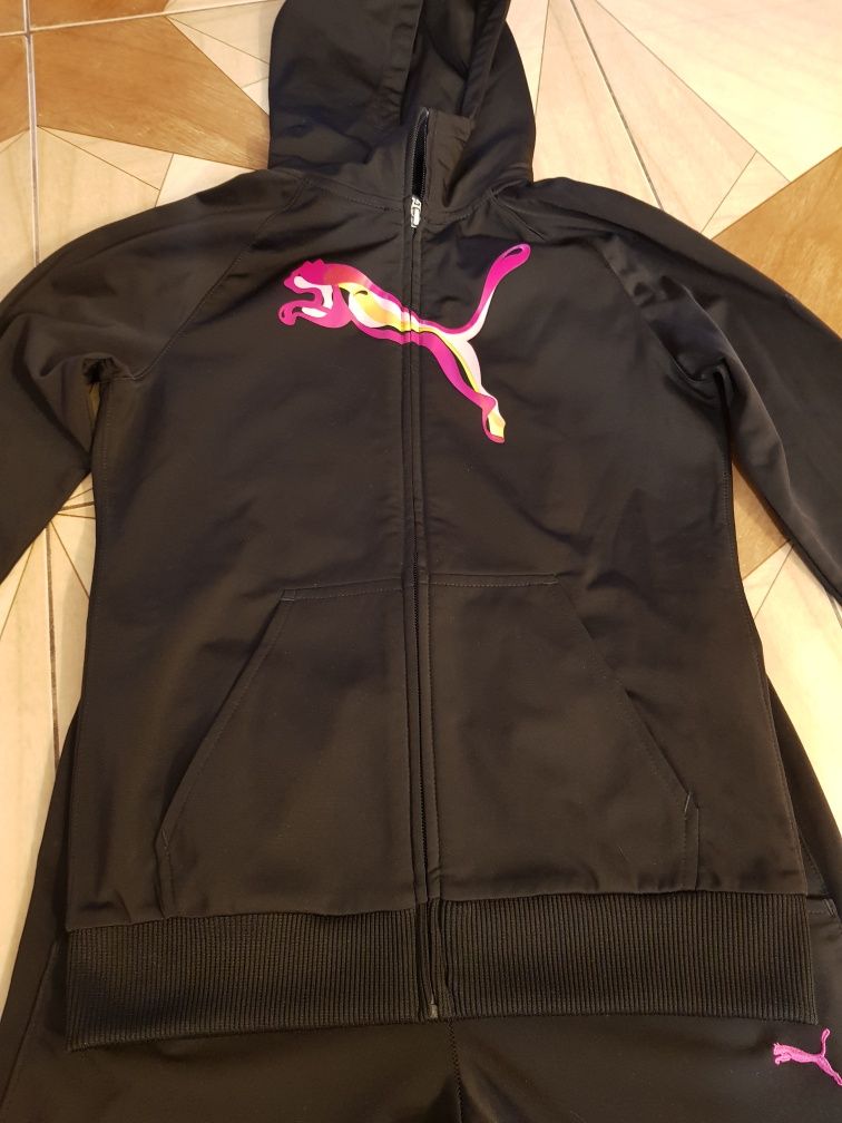 Dres dziewczecy pumy