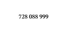 złoty numer 728.088.999