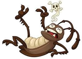 Уничтожение тараканов СЕС Контроль вредителей ( Pest Control,HAACP sys