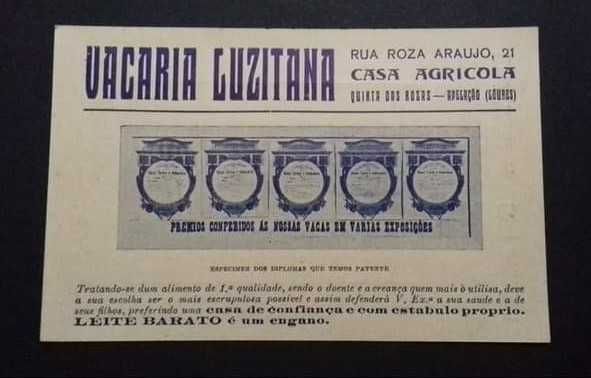 Calendário de Bolso "Vacaria Lusitana" de 1934