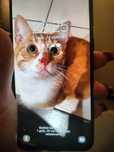 Samsung Galaxy a40