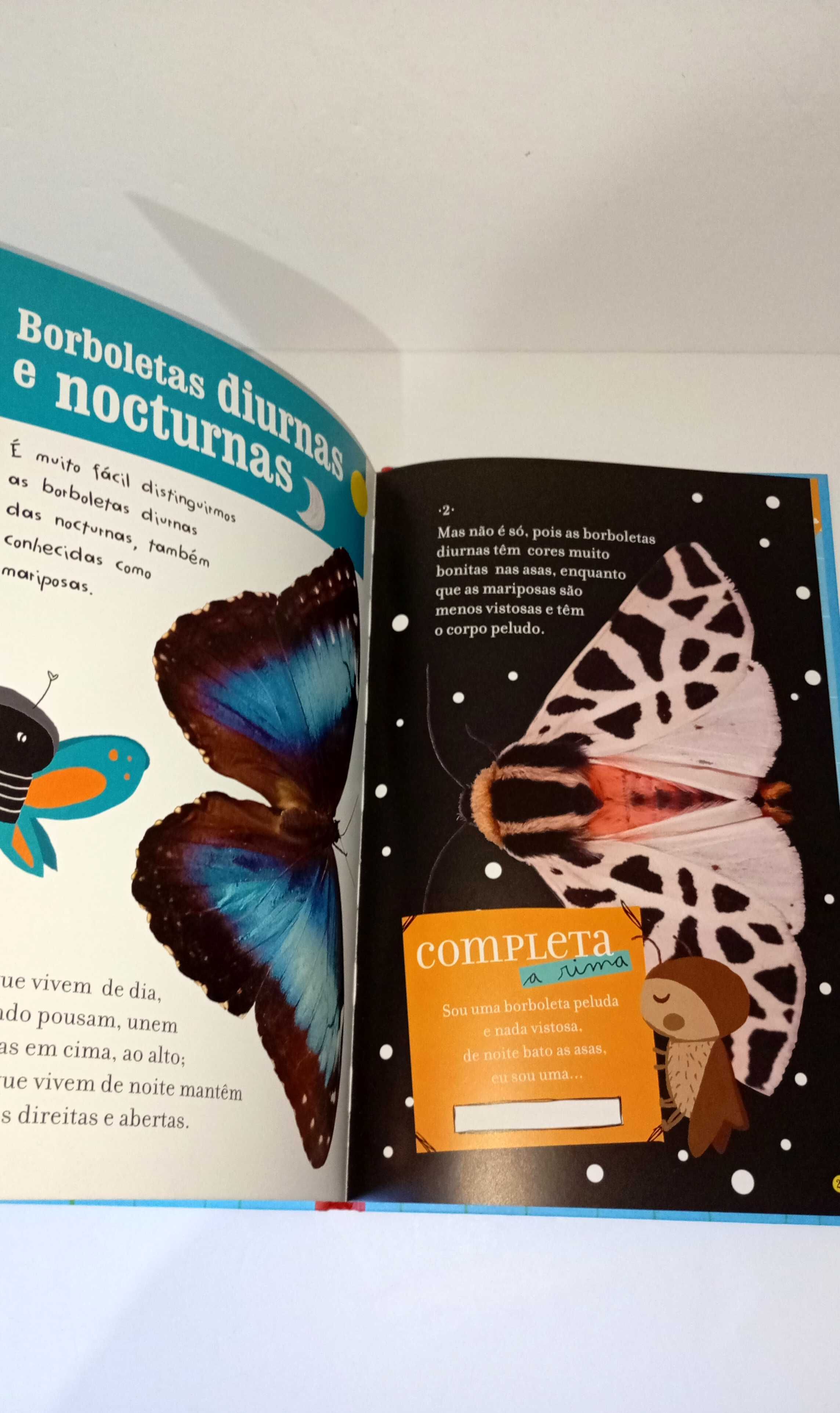 A Borboleta - Ver crescer