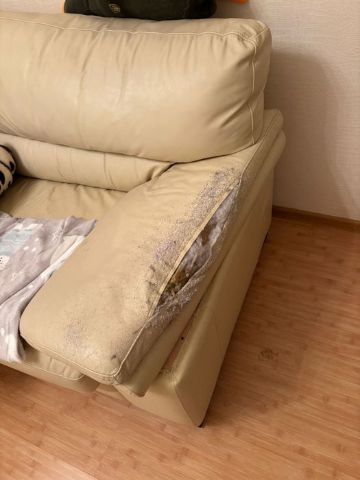 Віддам безкоштовно диван Киів