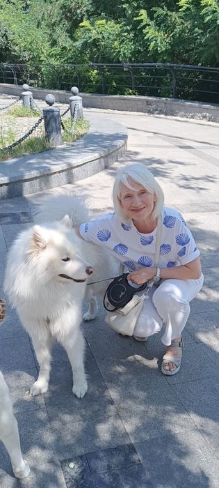 Передержка, отель для животных (кошечки, собачки)