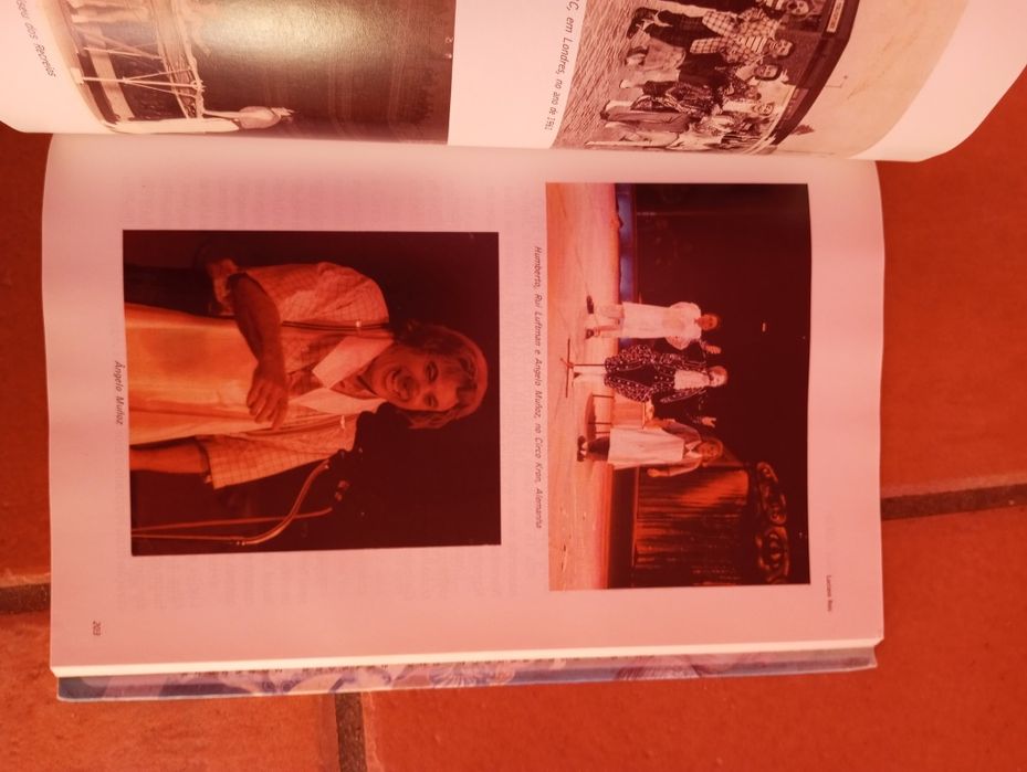 Luciano Reis - História do Circo - Famílias (Volume 2)