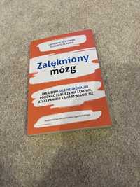 Zalękniony mózg