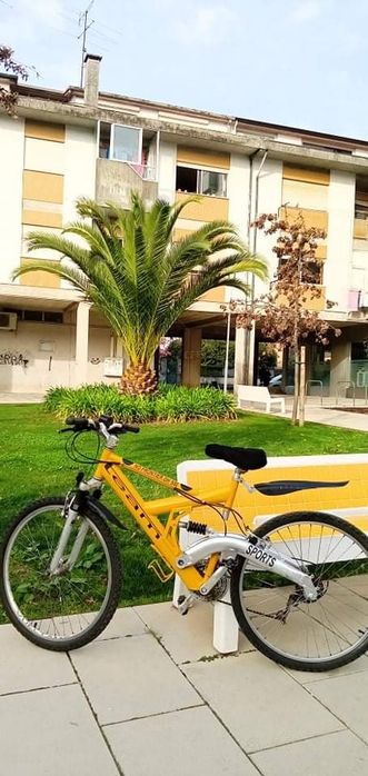 Bicicleta top usada
