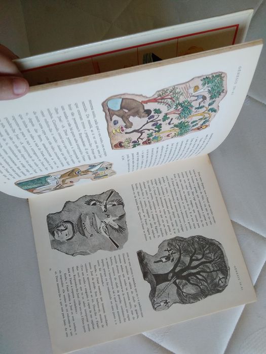 Grande Bíblia Ilustrada Antigo Testamento Verbo Juvenil