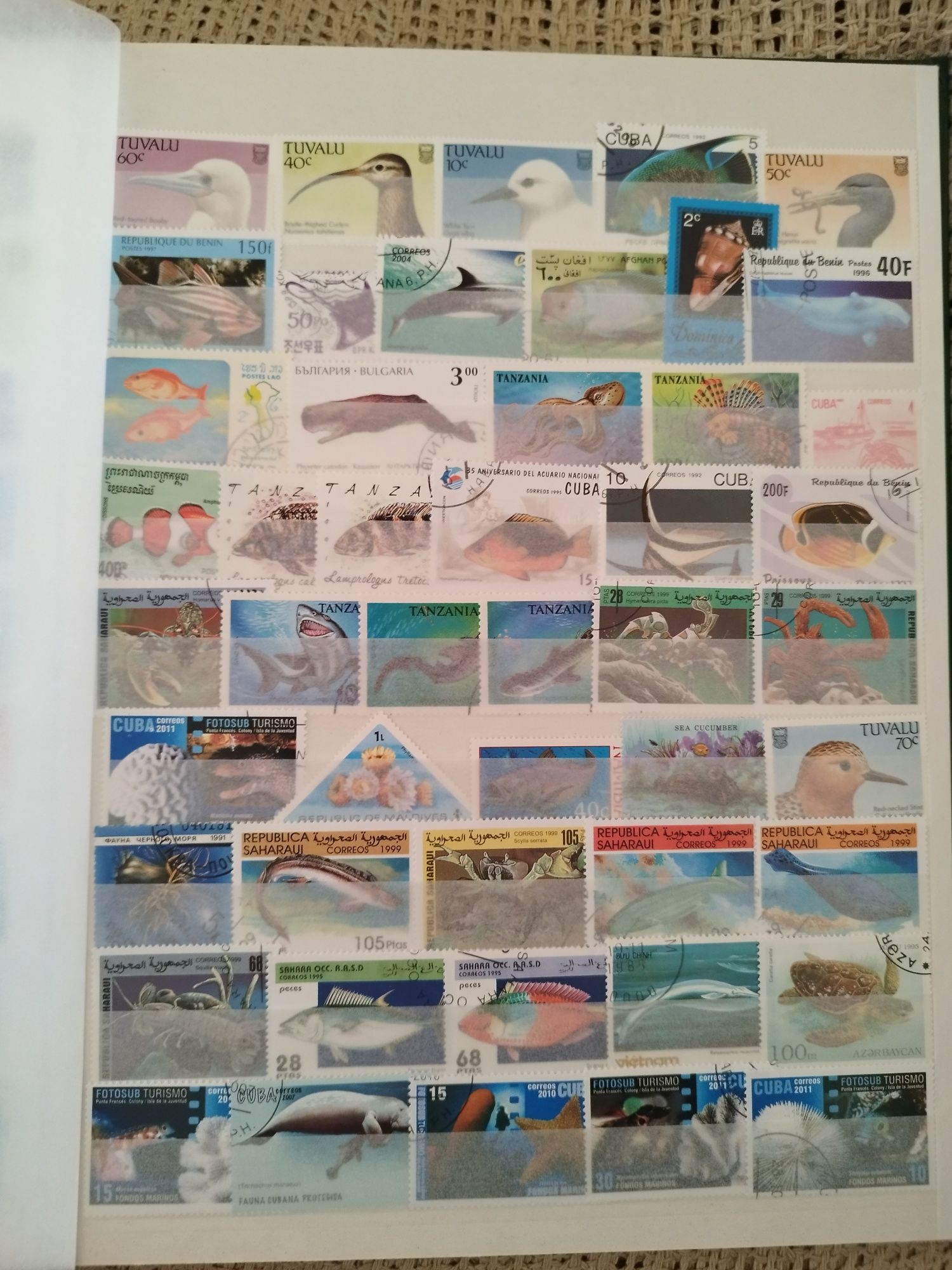 Classificador com 250 selos diferentes temática animais marinhos