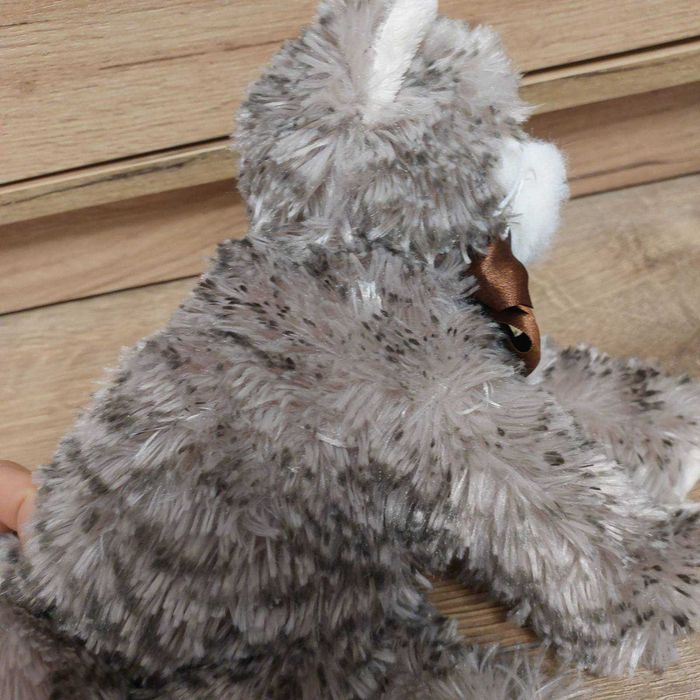 Кіт Maciek від шведського бренду Bukowski