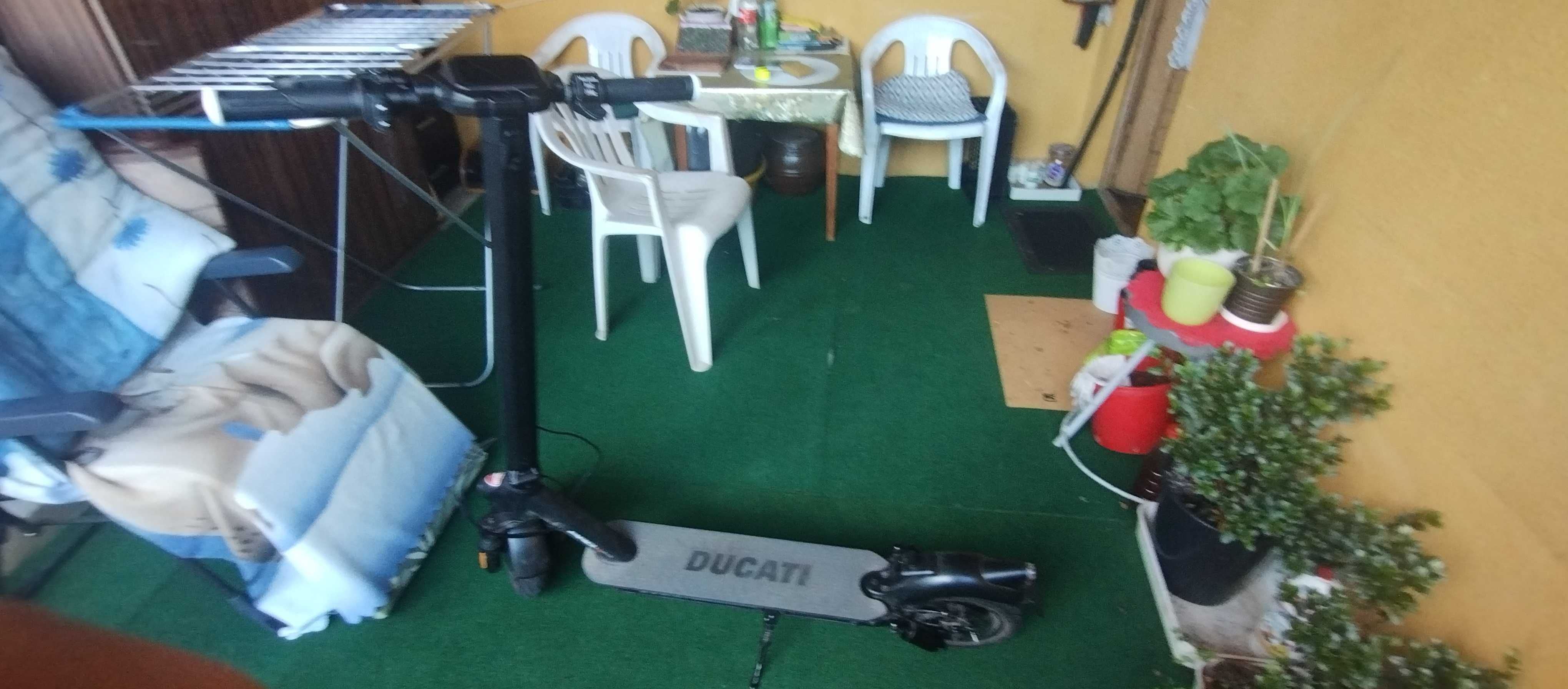 Ducati pro 2 evo