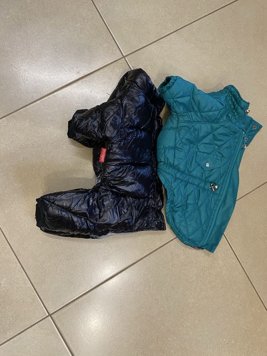 Одежда для собак