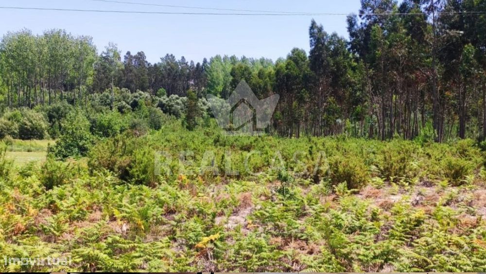 Terreno Rústico à Venda em Moinhos de Carvide – Leiria