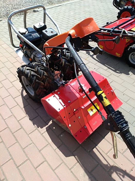 glebogryzarka barberi as