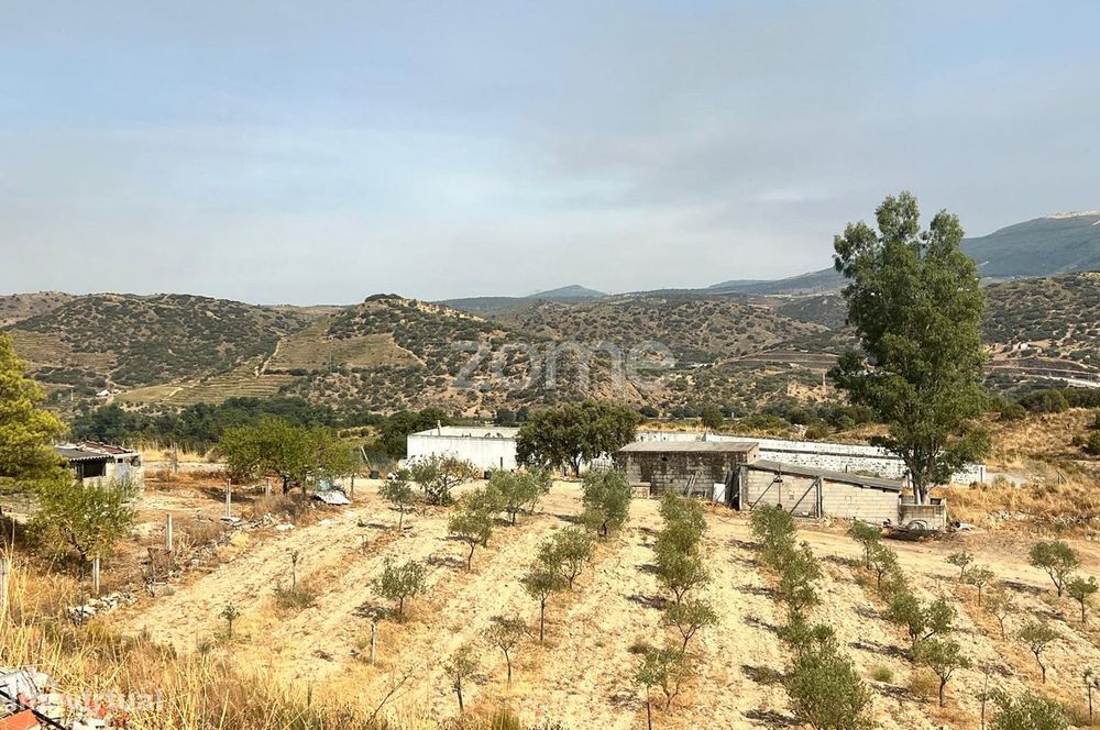 Terreno Panorâmico 11.745 m² no Douro - em Trás-os-Montes