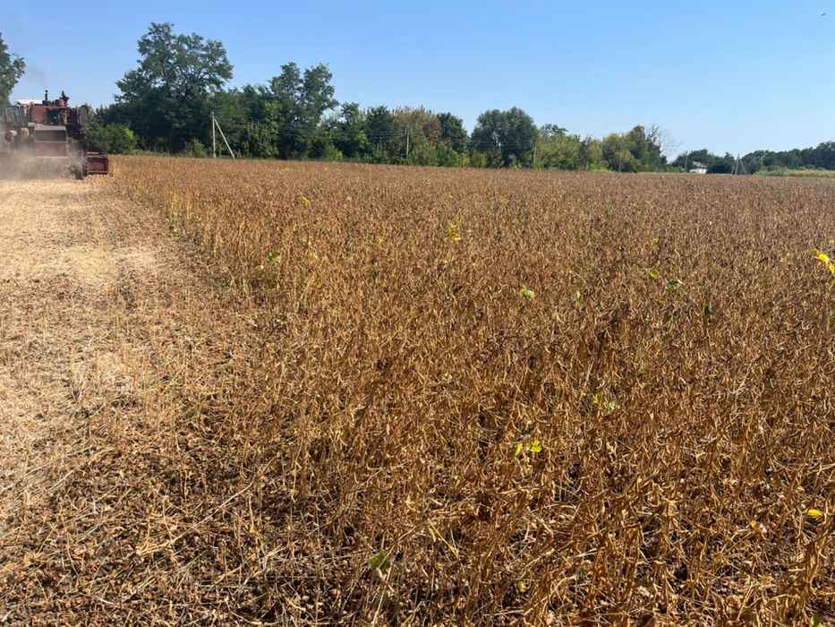 Продам сою Канзас