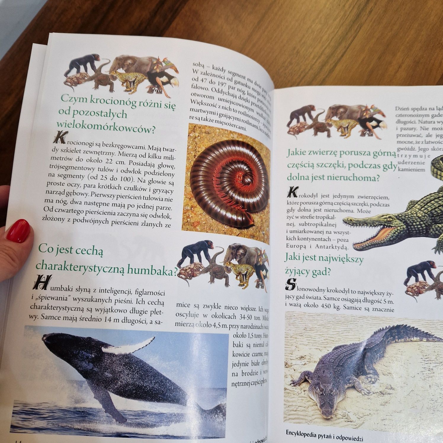 Encyklopedia pytań i odpowiedzi