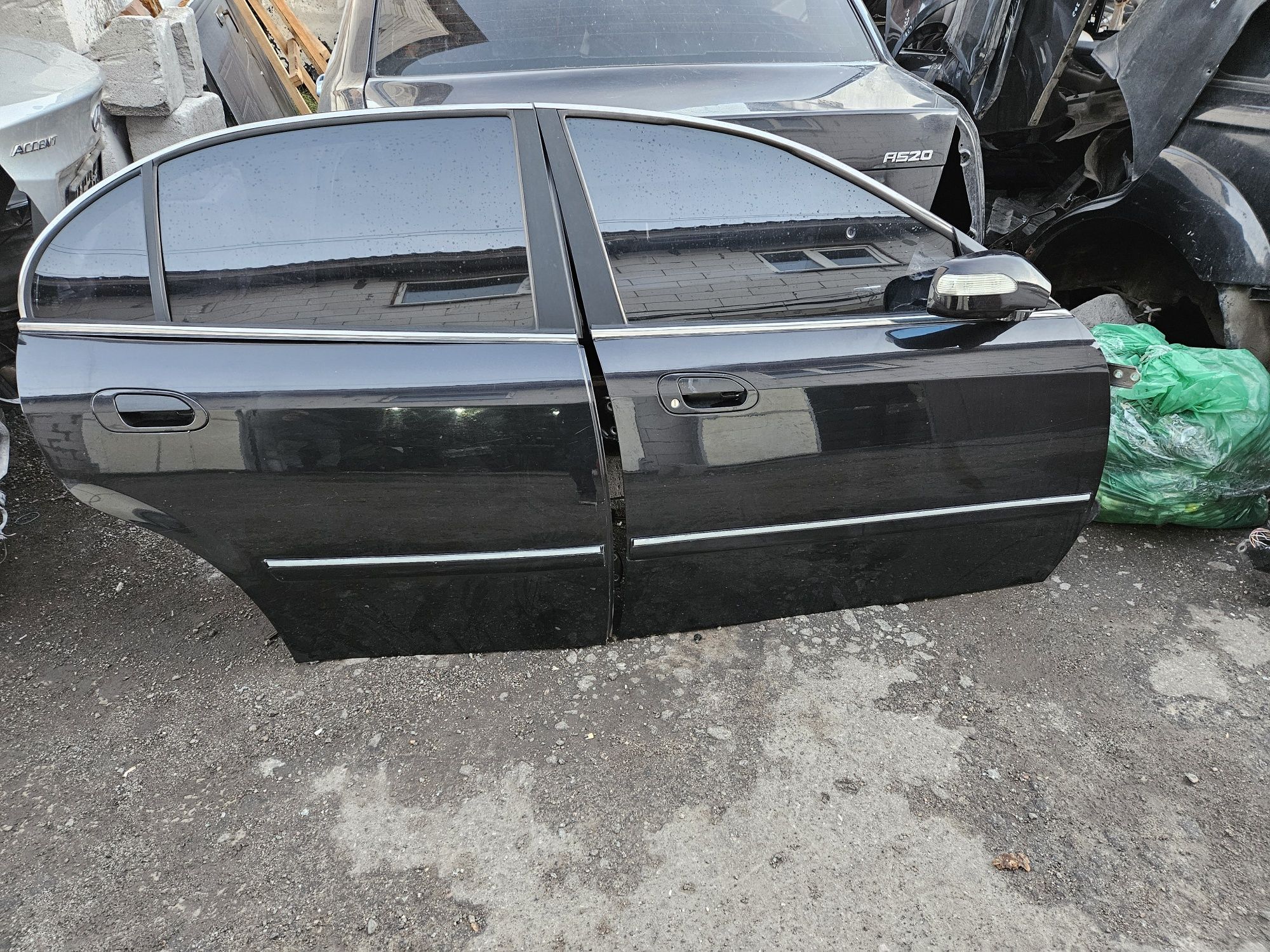 Двері Chery Eastar