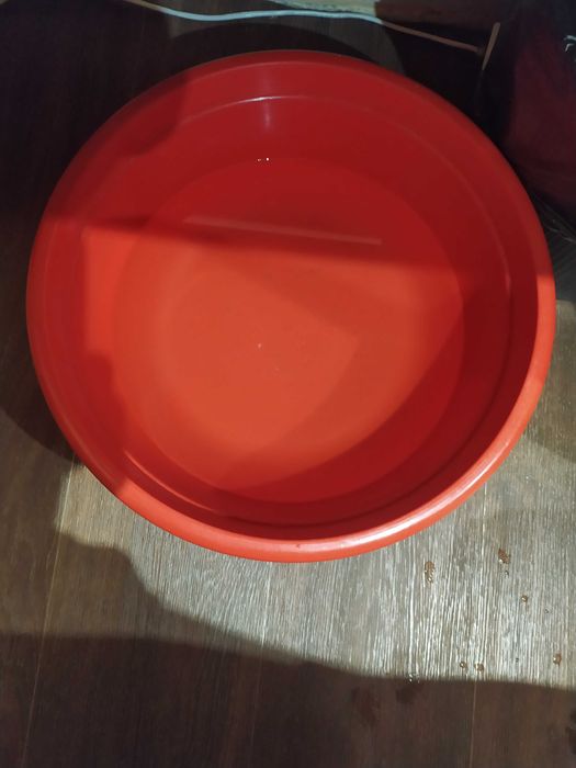 Тазы плассмасовые